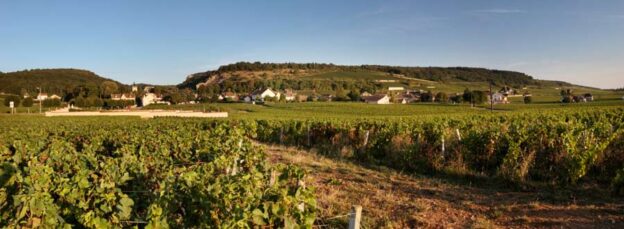 Wine Routes of Burgundy: discover the heart of French terroir