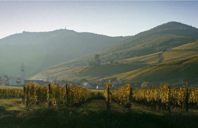 Cadeau d&eacute;gustation Route d'Alsace