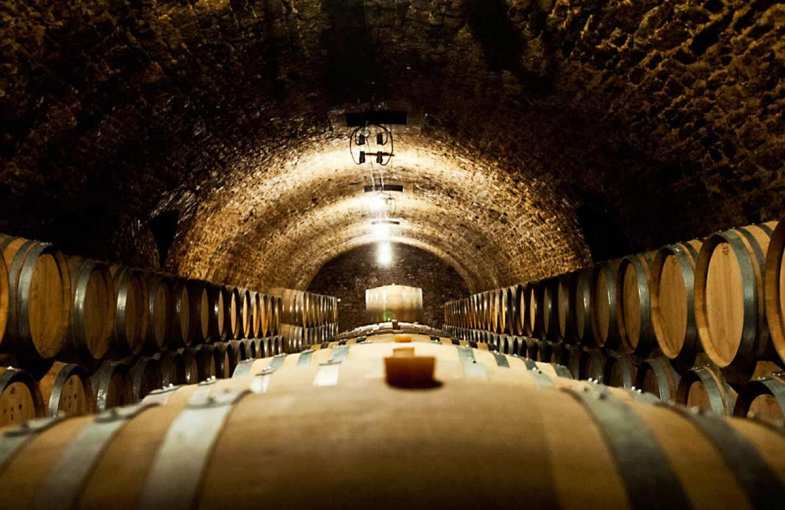 D&eacute;gustations de Champagnes d'exception