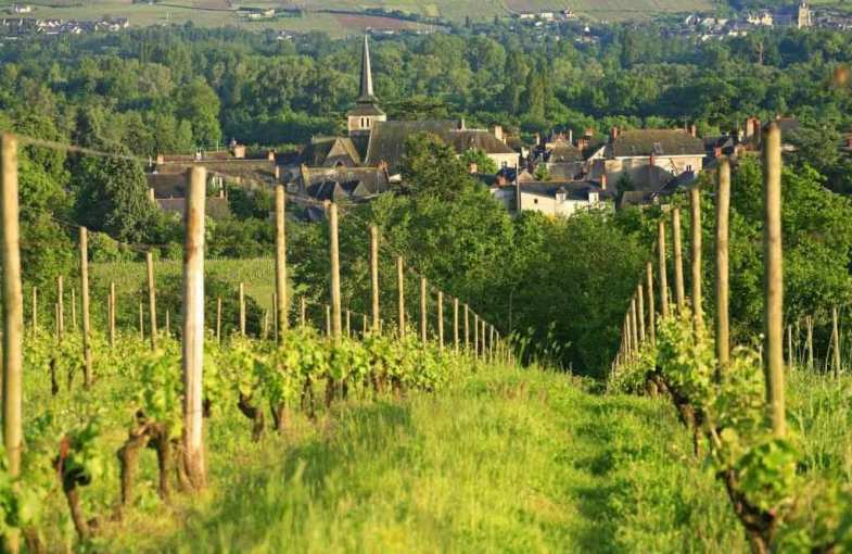 D&eacute;gustation vins biologiques Loire