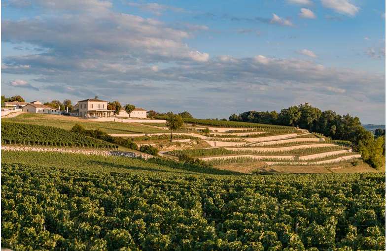 Journ&eacute;e Saint-Emilion et Pomerol