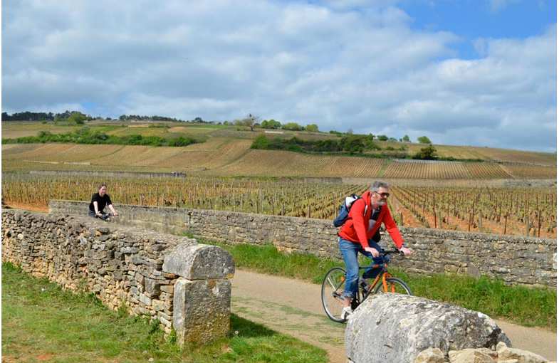 S&eacute;jour biologique autour de Beaune
