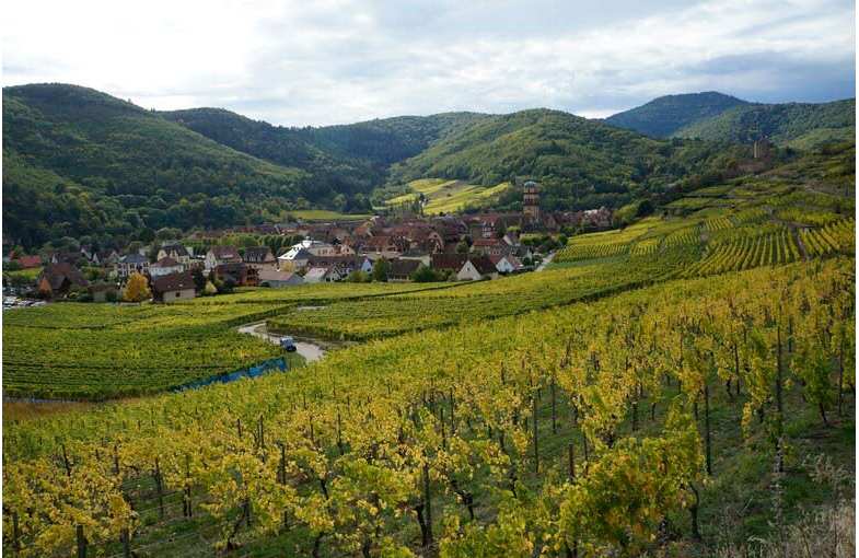 Journ&eacute;e sur la Route des Vins d'Alsace