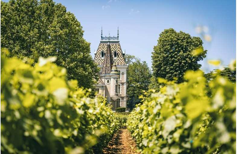 Journ&eacute;e d&eacute;couverte des vins de Bourgogne