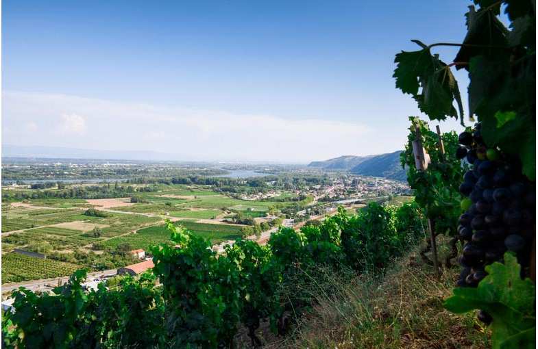 Journ&eacute;e en Vall&eacute;e du Rh&ocirc;ne septentrionale