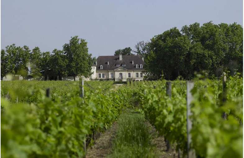 Journ&eacute;e Graves et Pessac-L&eacute;ognan