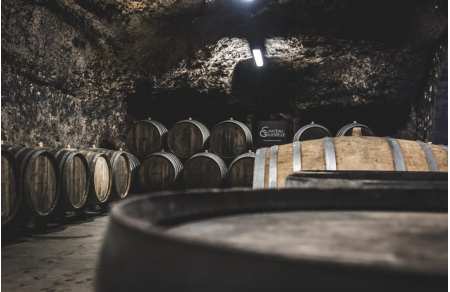 History, gastronomy and wines around Tours