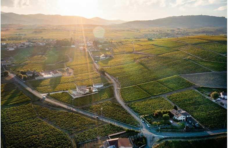 Discover Beaujolais, Rh&ocirc;ne Valley and Lyon in 4 days