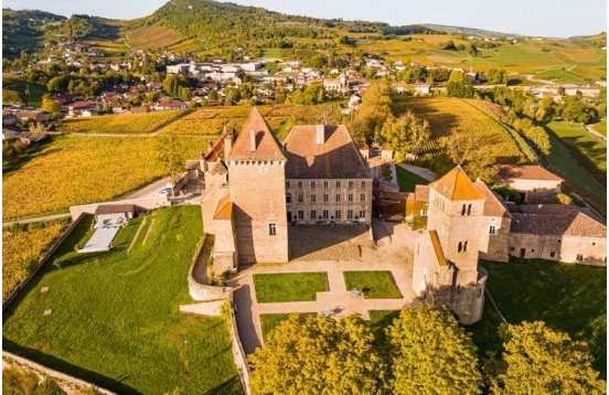 À la découverte des grands vins de Mâcon et Pouilly-Fuissé