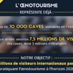 Les mesures en faveur du développement de l&rsquo;oenotourisme