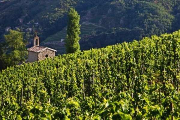 Vall&eacute;e du Rh&ocirc;ne
