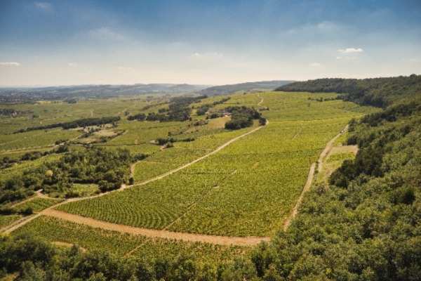 Bourgogne