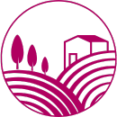 Séjours vignoble