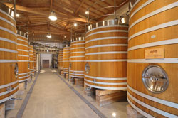Château Fonplégade - Chai