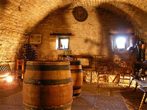 Clos Saint-Louis - Domaine viticole à Fixin