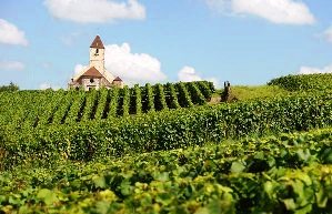 Domaine Gimonnet & Fils