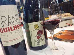 Vins du Languedoc-Roussillon du Domaine du Grand Guilhem / Domaine Montluzia