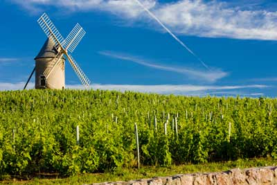 Route des vins Vallée du Rhône