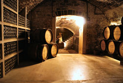 Château du Petit Musigny - Cave