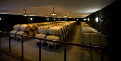 Château Cos Labory - Chai