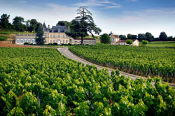 Château Fonplégade - Saint-Émilion
