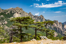 Alta Rocca - Séjour