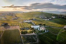 Visite Beaujolais vineyards
