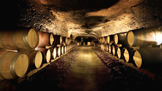 Cellar Tour in Loire - Starting in Tours