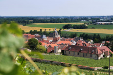 Champagne vineyard tour
