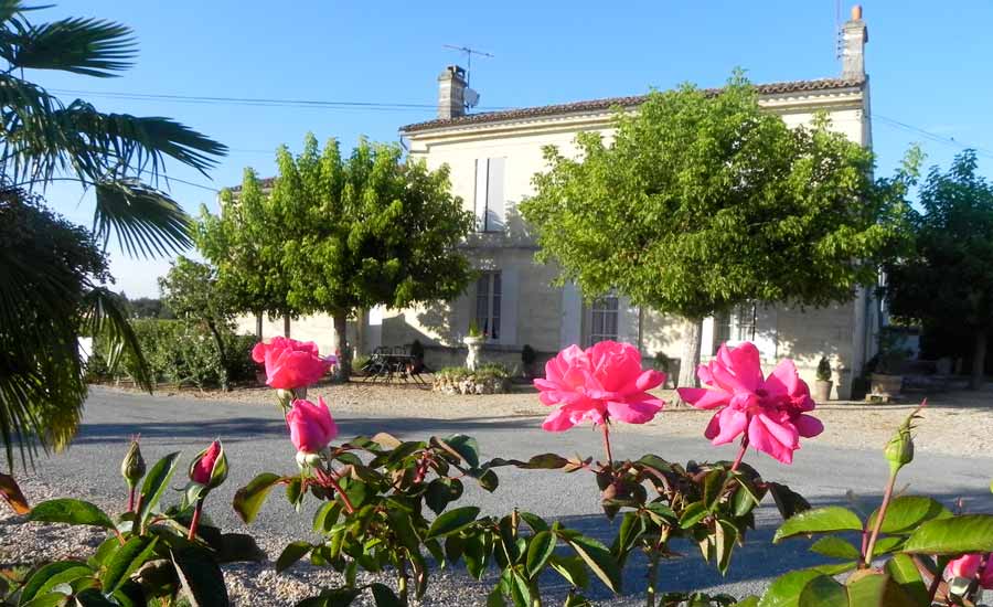 Château Champion - Domaine viticole à Saint-Emilion