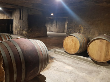 Château Fleur de Roques - Cave