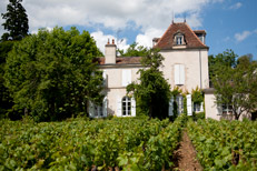 Dégustation au Château - Bourgogne