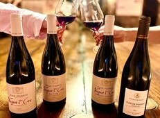 Dégustation de vins - Vougeot