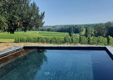 Détente dans le vignoble de Saint-Emilion