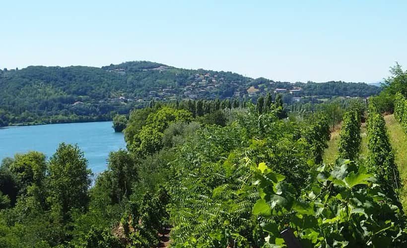 Domaine de Corps de Loup - Tupin-et-Semons