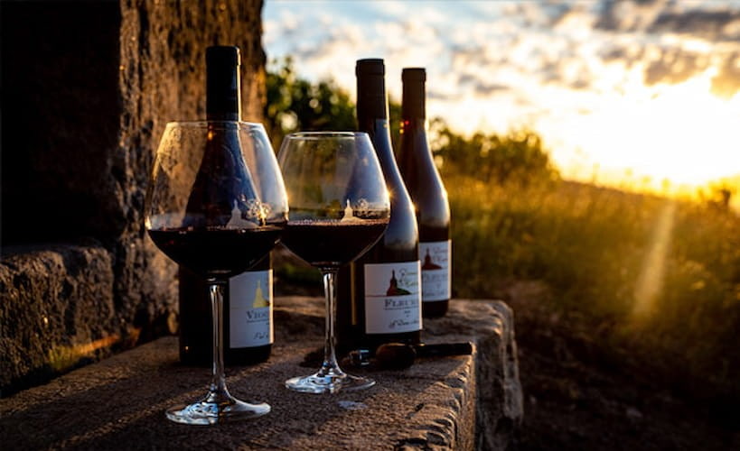 Domaine de la Madone - Fleurie