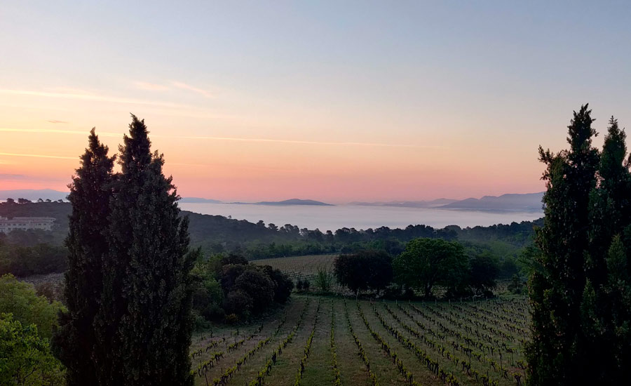 Domaine du Deffends - Provence - Domaine viticole