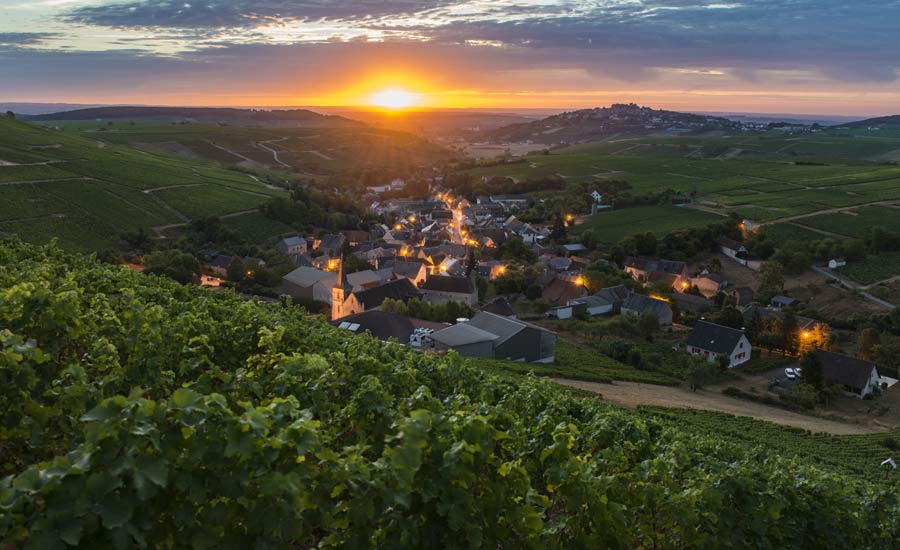 Domaine Henri Bourgeois - Visite Sancerre