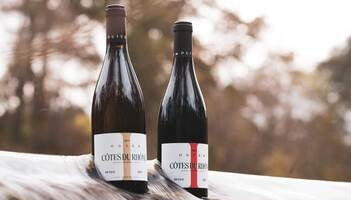 Maison Ogier - Vins du domaine