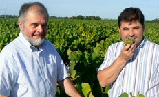 Domaine Raphaël Luneau