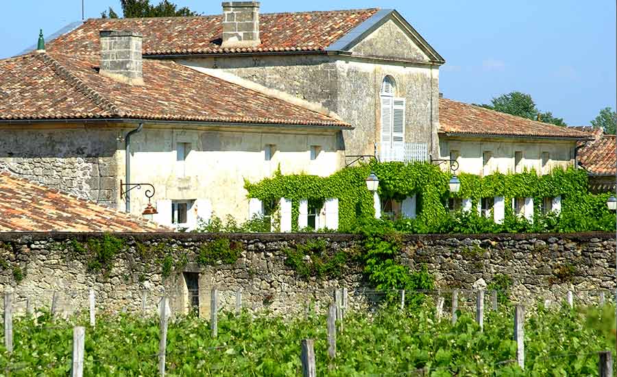 Château Féret-Lambert à Grezillac