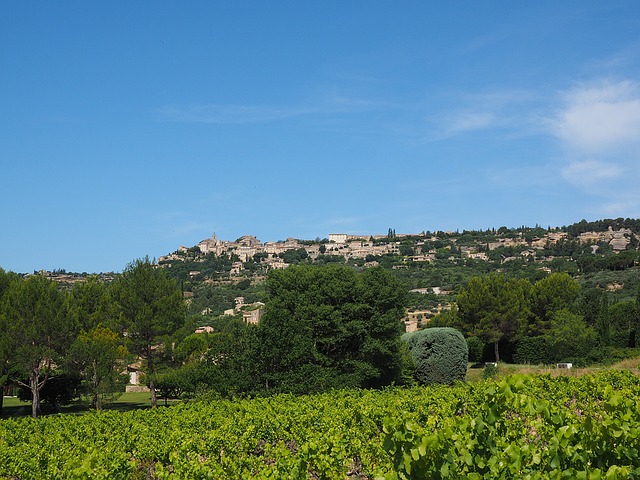 Vignoble de Provence - Gordes