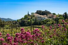 Luberon villages full day tour