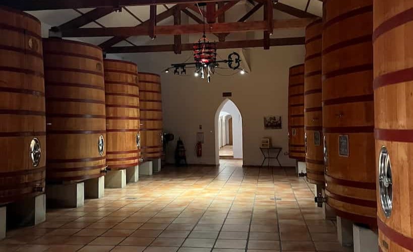 Maison Ogier - Visite de caves