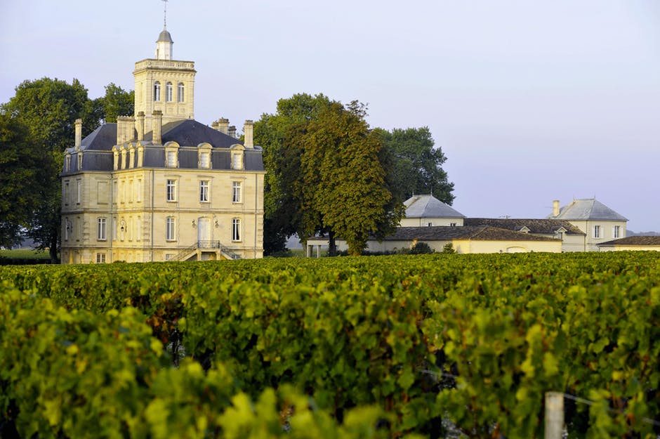 Vignoble autour de Bordeaux