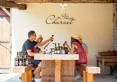 Après-midi en compagnie du vigneron à Chiroubles