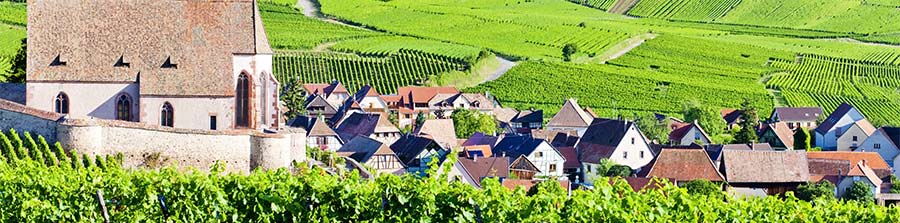 Vignoble d'Alsace