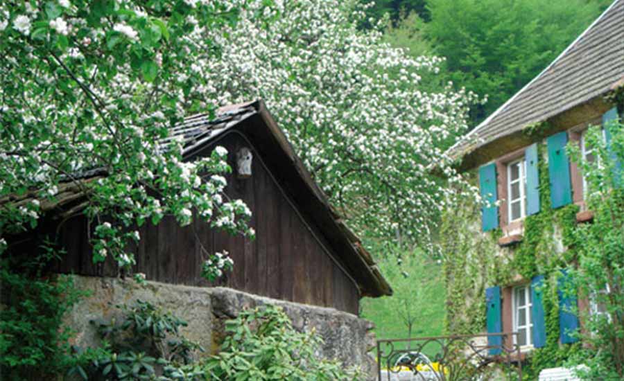 Chambres d’hôtes du Schaeferhof
