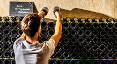 Séjour dans un domaine viticole champenois