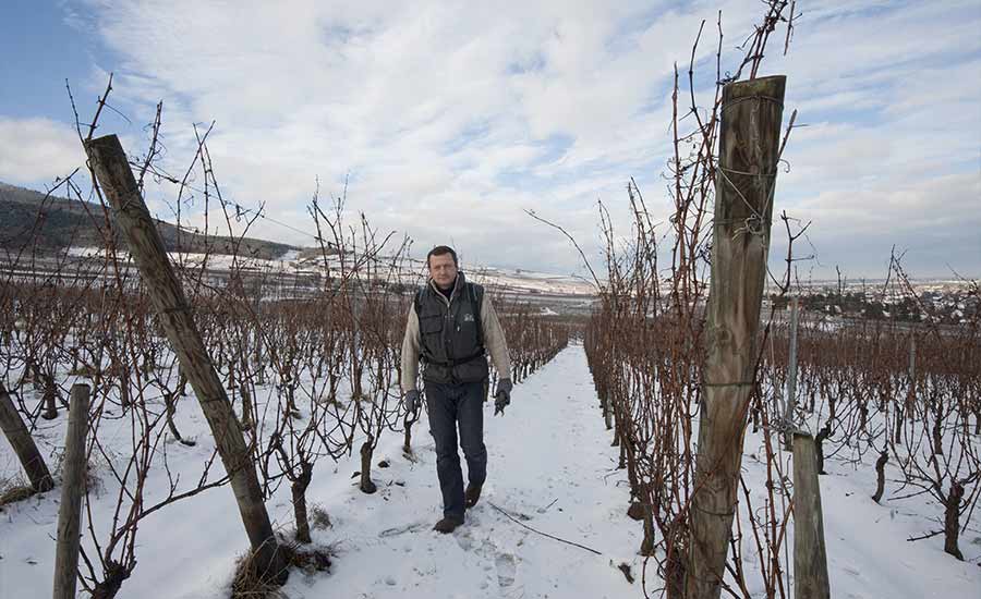Domaine Stentz-Buecher - Alsace